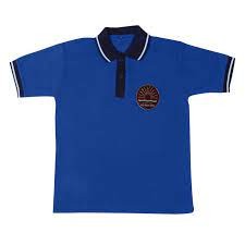 BLUE HOUSE TSHIRT | KENDRIYA VIDYALA