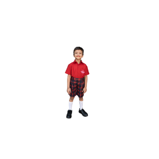 RED SHIRT FOR BOYS / GIRLS | CLASS : NUR - 4TH | ST MATHEWS ACADEMY
