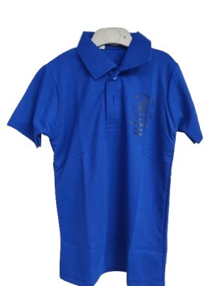 BLUE HOUSE TSHIRT | CLASS: UKG TO 4TH | THE BISHOP'S SCHOOL | CAMP